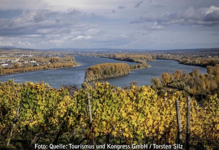 Bingen plant das Weinrebenfest „GudeWoi“ im September