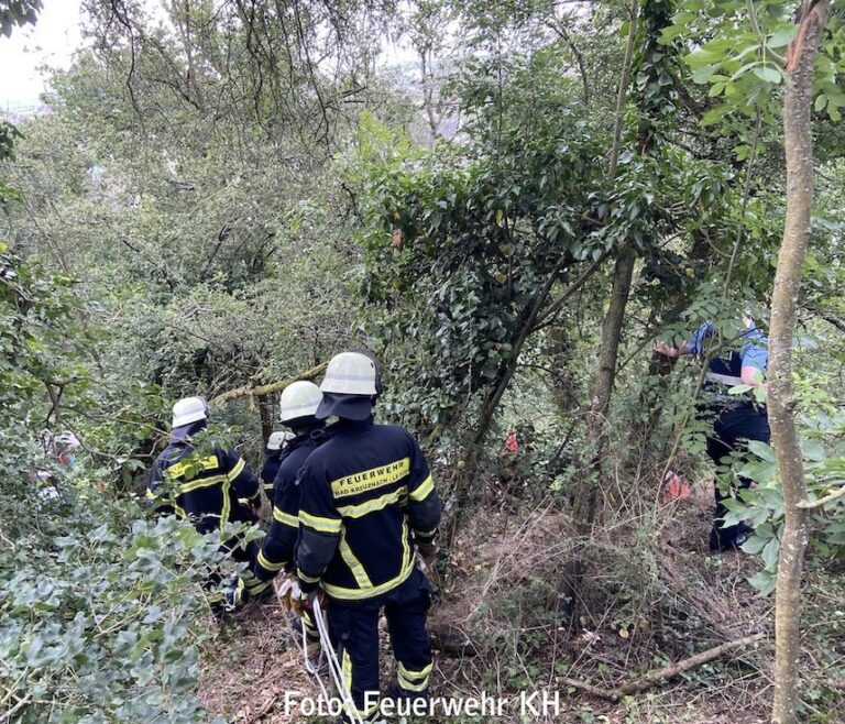 Aufwendige Rettungsaktion: Mann stürzte im Wald Abhang hinunter