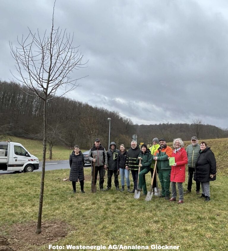 Westenergie und Ortsgemeinde Hochstetten-Dhaun pflanzten drei Klimabäume