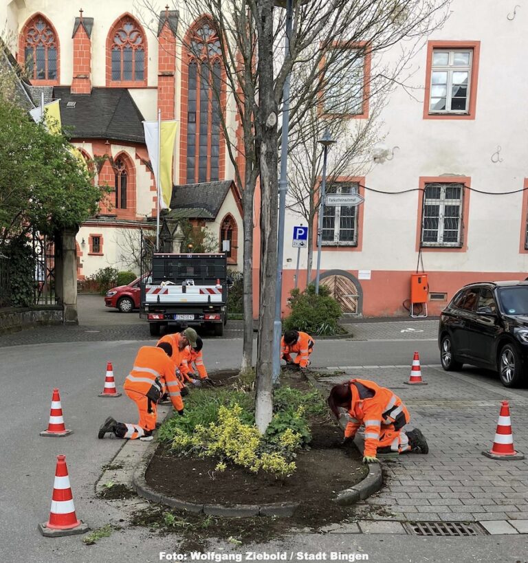 Pflege- und Mäharbeiten werden durchgeführt