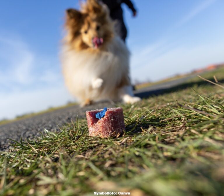 Vermeintliche Hundegiftköder auf Hundeplatz ausgelegt