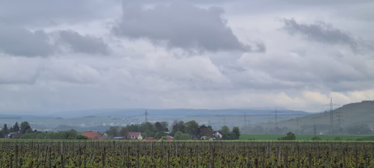 Goldiges Naheland – Leserfotos vom 16. Mai