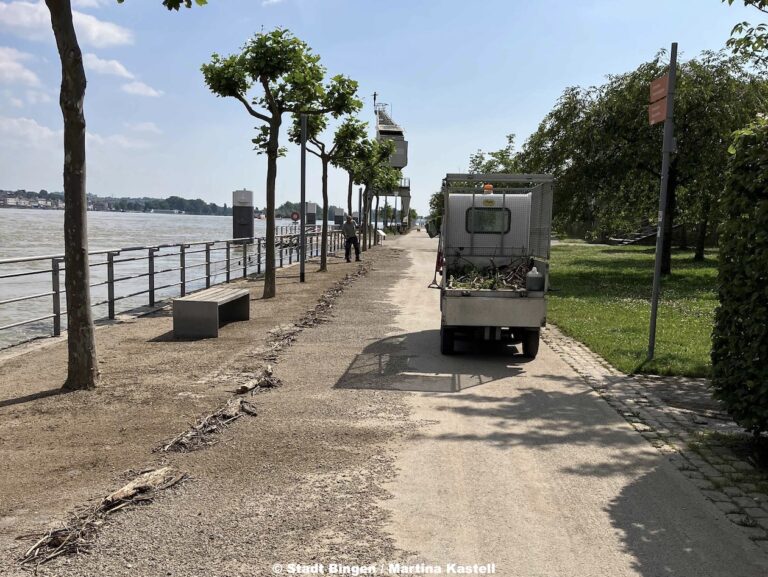 Kulturufer wieder zugänglich: Aufräumarbeiten nach Hochwasser weitgehend abgeschlossen