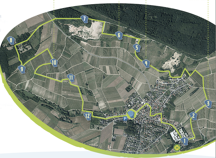 R-mmelsheimer-K-stenwanderweg-wird-er-ffnet