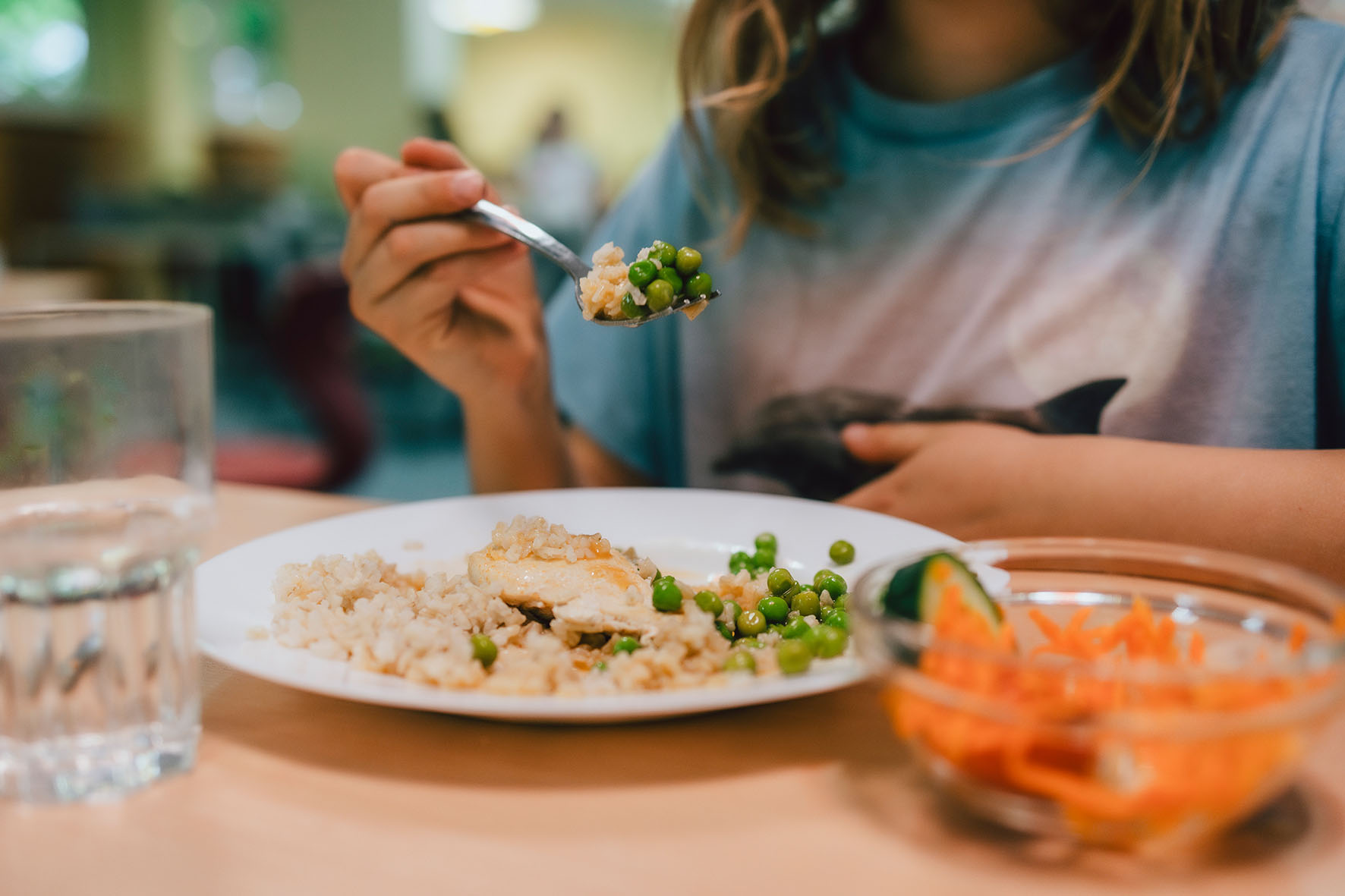 NGG-fordert-von-Bundestagskandidaten-Gratis-Essen-in-Kitas-und-Schulen