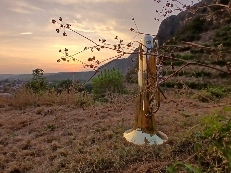 Goldiges Naheland – Leserfotos vom 24. August 2025