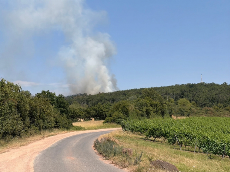 Waldbrand nahe Fernsehturm in der VG Rüdesheim – Feuerwehr im Großeinsatz